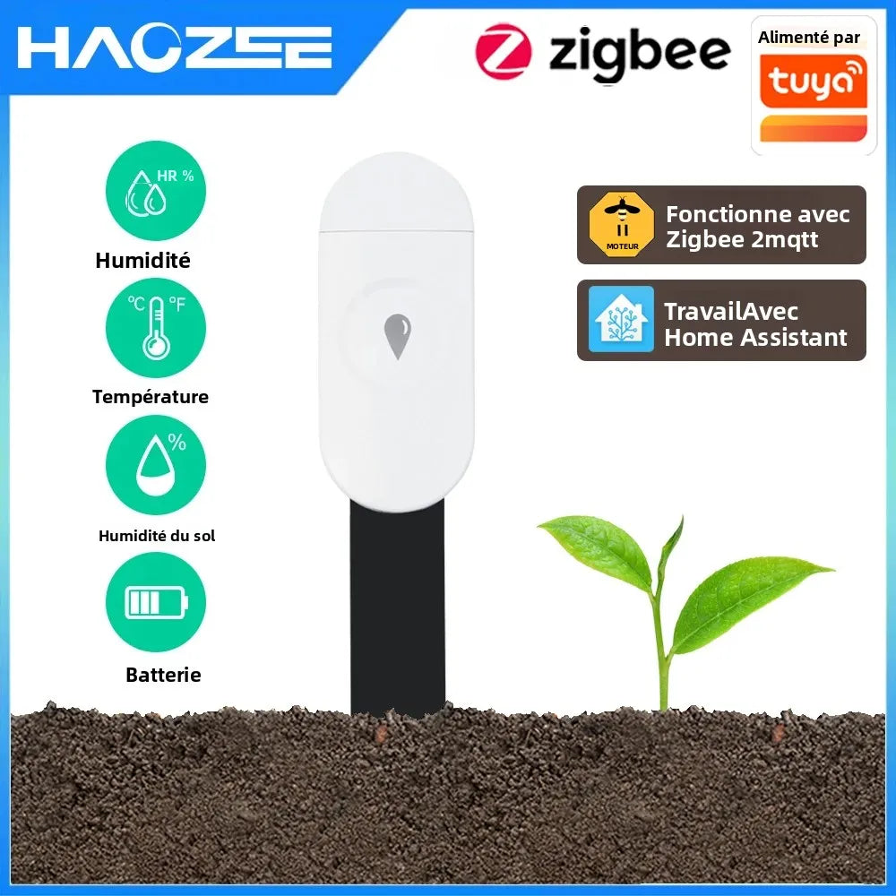 Capteur d'Humidité du Sol Zigbee Tuya - Détecteur Température et Humidité Intelligent - Moniteur Temps Réel - Compatible Home Assistant Z2