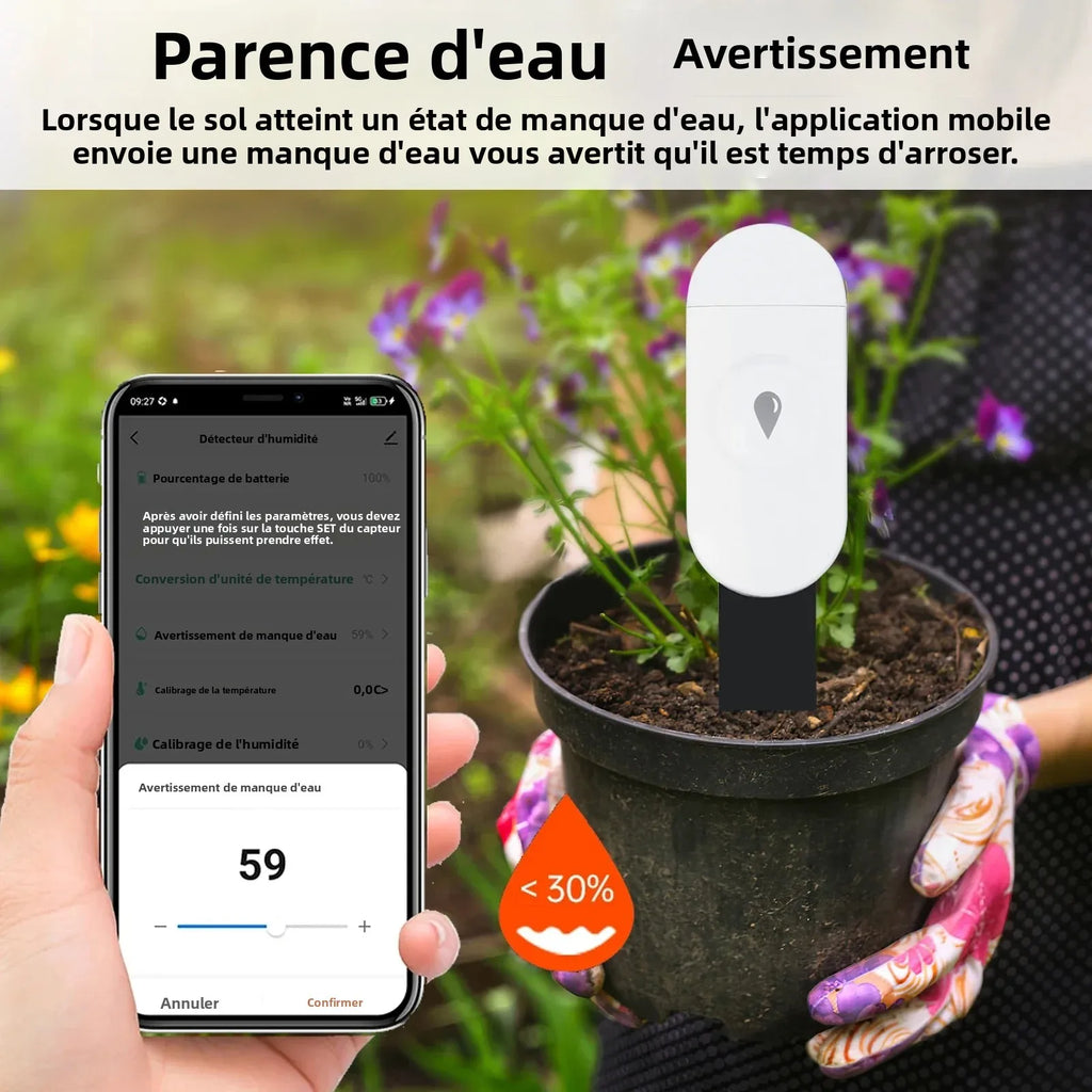 Capteur d'Humidité du Sol Zigbee Tuya - Détecteur Température et Humidité Intelligent - Moniteur Temps Réel - Compatible Home Assistant Z2