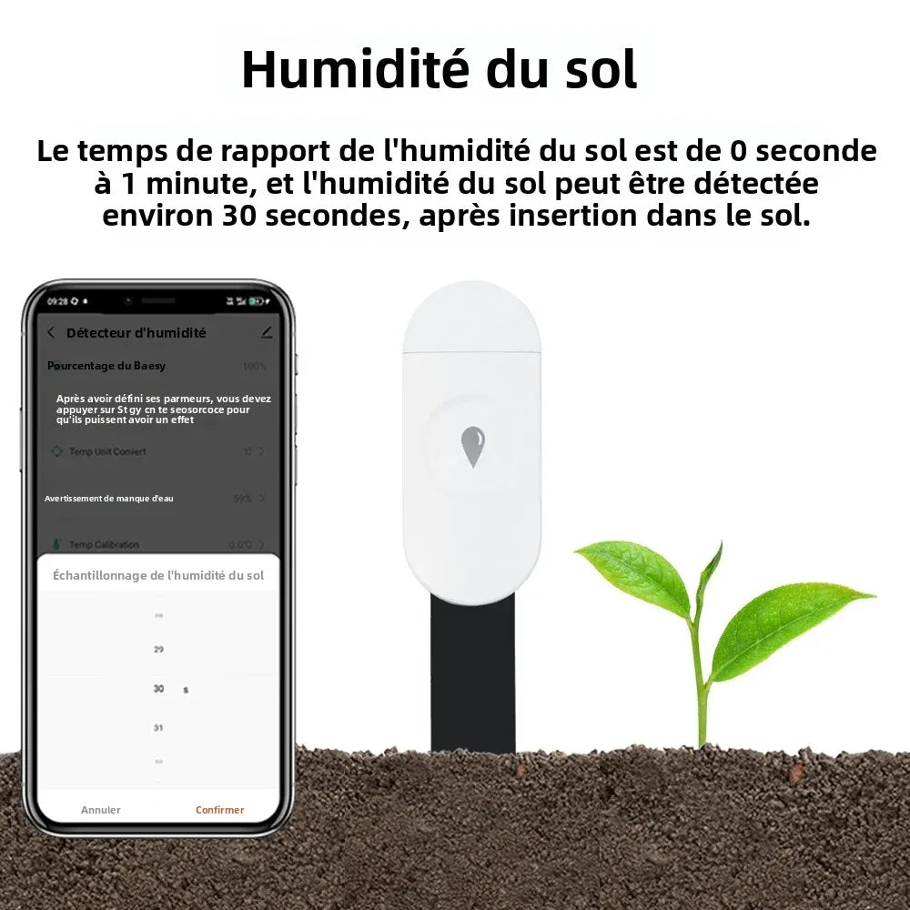 Capteur d'Humidité du Sol Zigbee Tuya - Détecteur Température et Humidité Intelligent - Moniteur Temps Réel - Compatible Home Assistant Z2