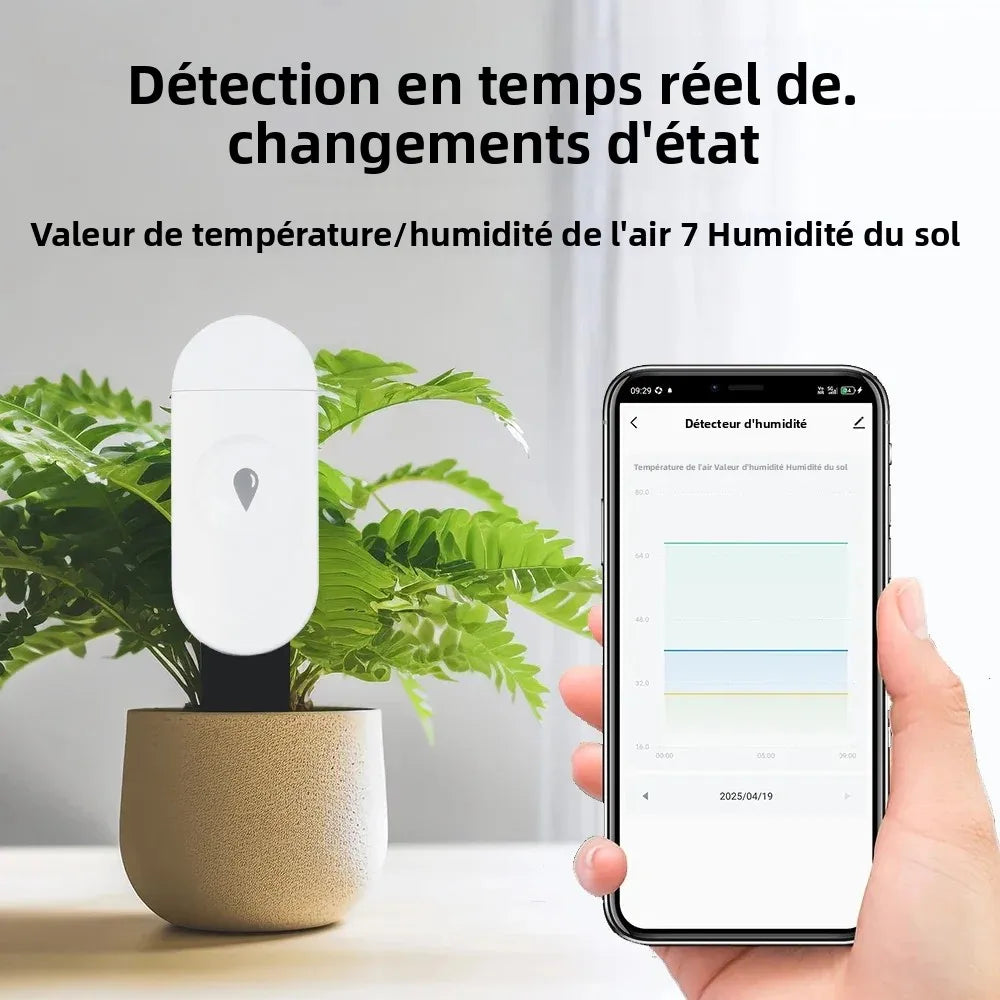 Capteur d'Humidité du Sol Zigbee Tuya - Détecteur Température et Humidité Intelligent - Moniteur Temps Réel - Compatible Home Assistant Z2