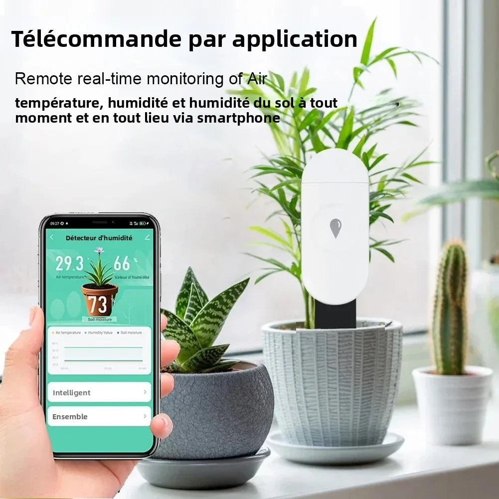 Capteur d'Humidité du Sol Zigbee Tuya - Détecteur Température et Humidité Intelligent - Moniteur Temps Réel - Compatible Home Assistant Z2